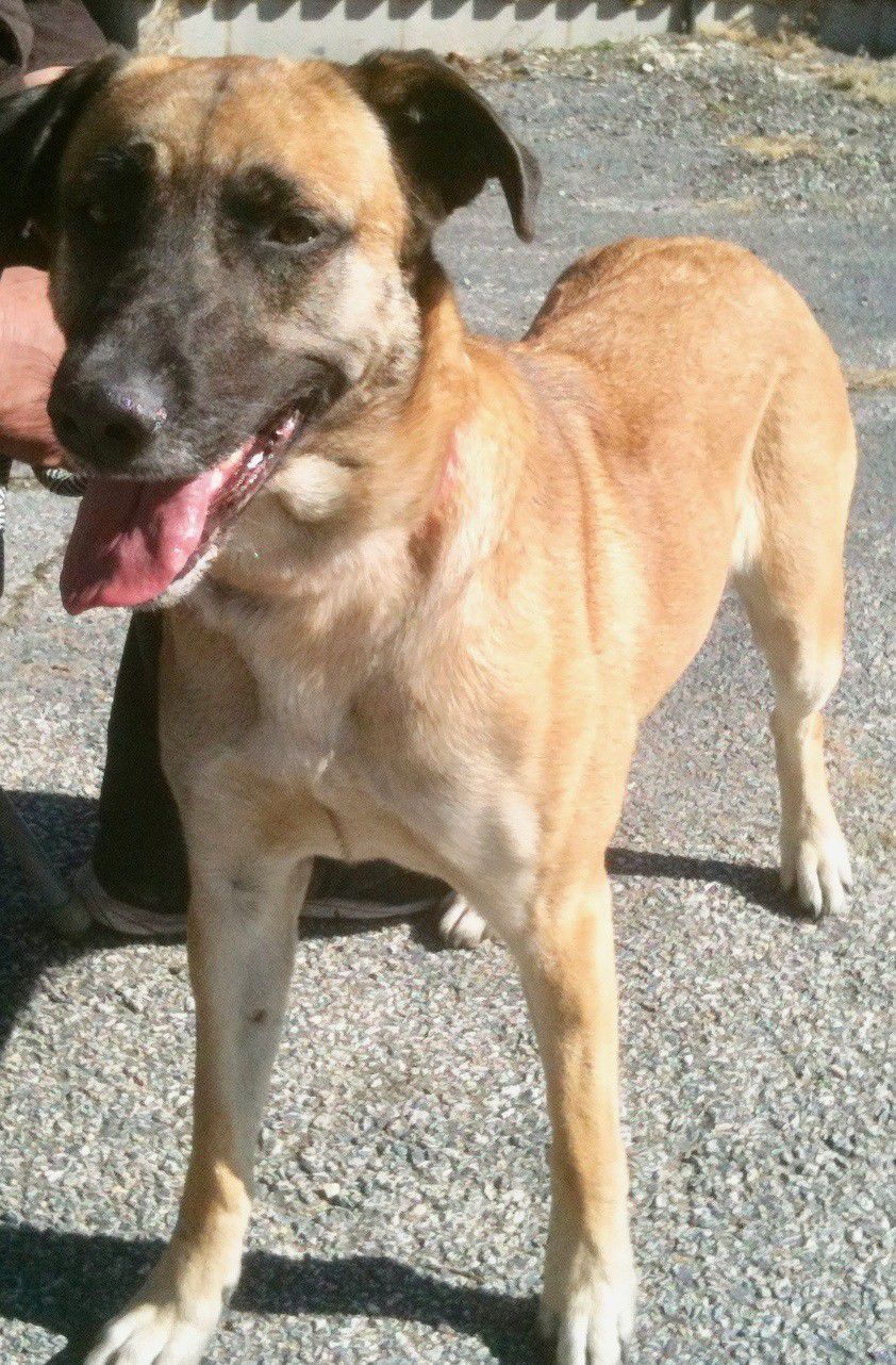Zoey